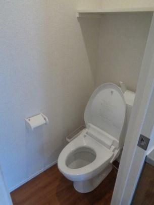 リアン大和田のトイレ