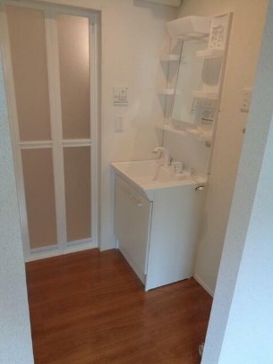 リアン大和田の洗面所