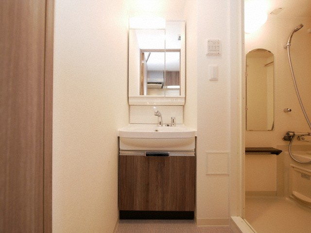 プレサンス堺筋本町ディスティニーの洗面所