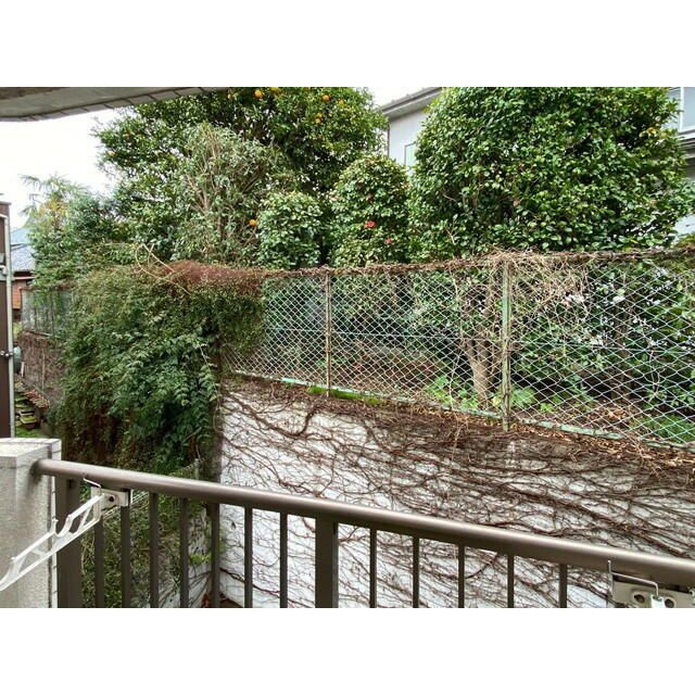 タリーハイム太田窪の展望