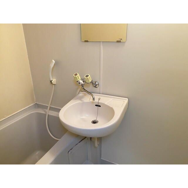 タリーハイム太田窪の洗面所