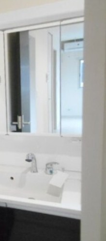 リーブルファイン春日部八丁目Ⅱの洗面所|※同施工　別物件