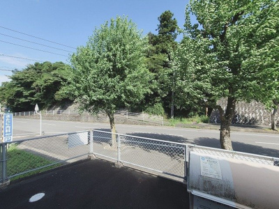 【その他】 | サンパティック