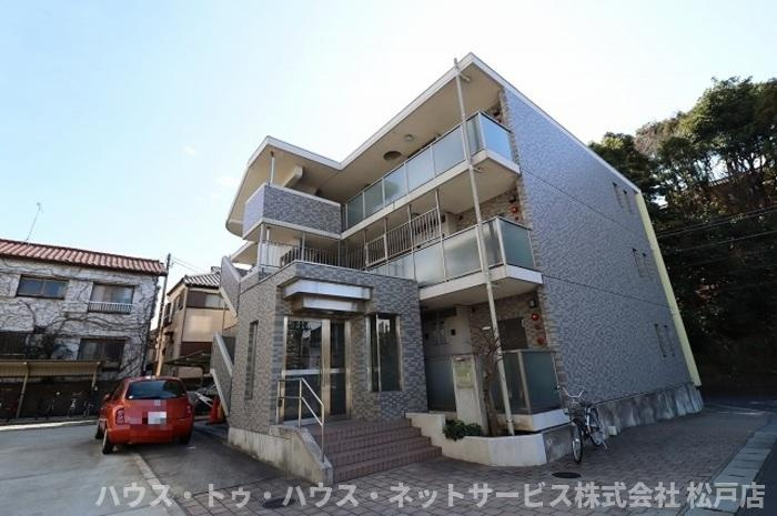 Magnolia coutの外観