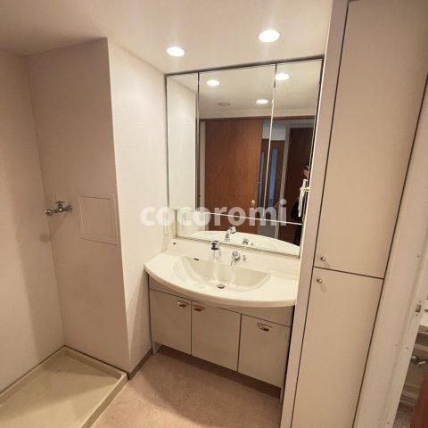 リバティパーク枚方Ｄ棟の洗面所