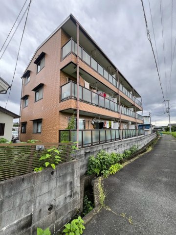 抱マンション