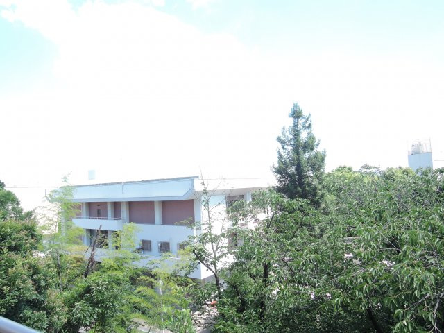 イトーピア紫明園の展望