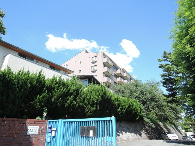 イトーピア紫明園の周辺