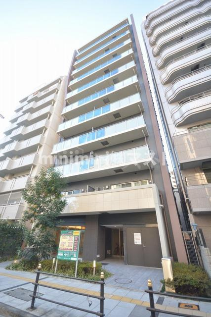 ジェイラピスナンバ