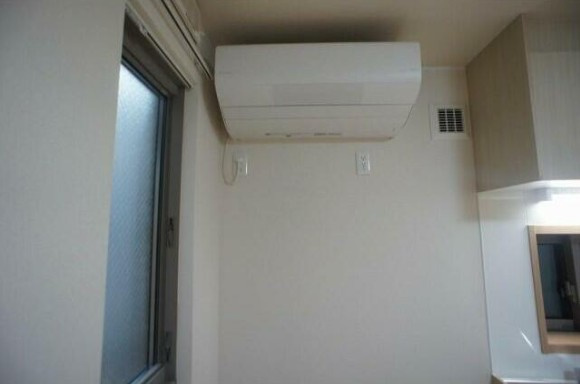 Hale　Lino　ハレリノのその他