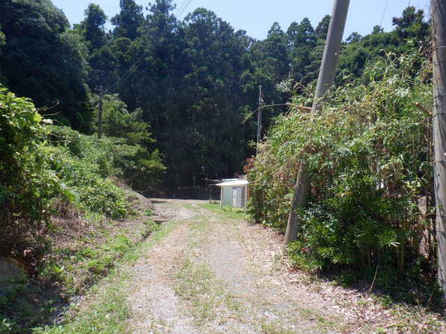 安布里の展望