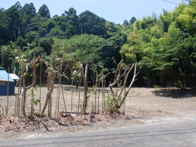 安布里の外観