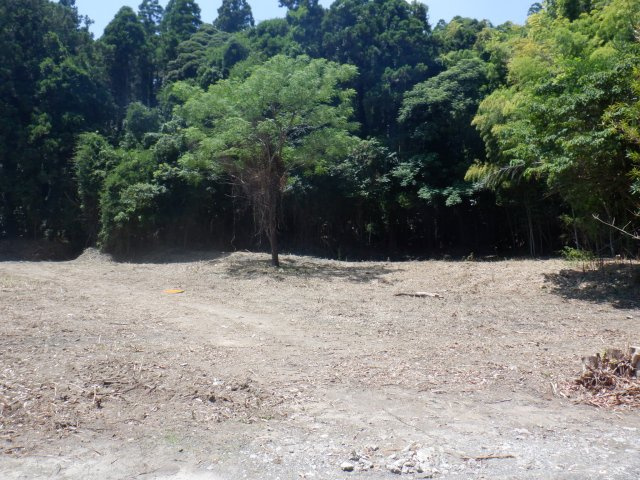安布里の外観