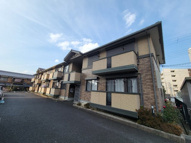 ベッラローゼの画像