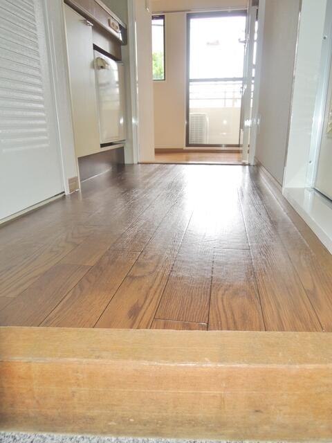 日神パレス立石第２の玄関|廊下