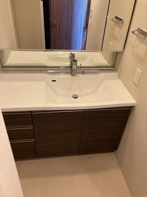 【独立洗面台】 | ザ・パークハウス花小金井ガーデン Ⅱ街区 