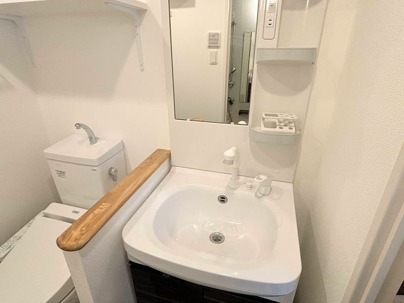 セオリー大阪フルールの洗面所