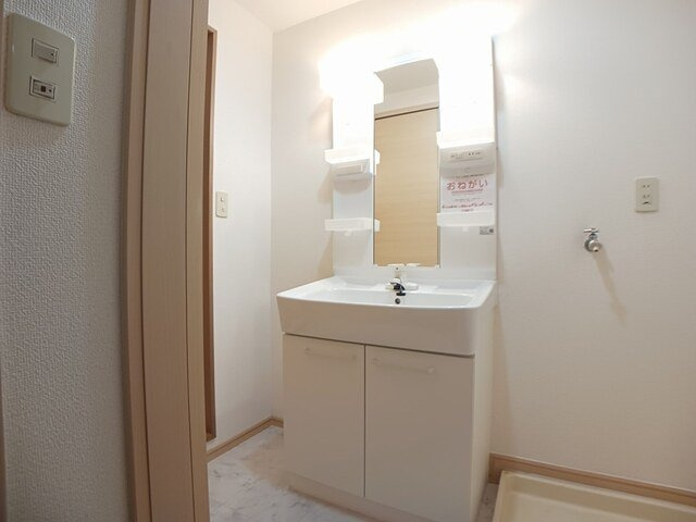 ロジュマン本城の洗面所