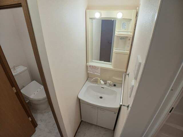 エクセル蓮の洗面所