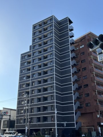 外観もきれいです