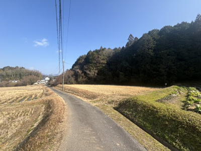 【前面道路含む現地写真】 | 丹波篠山市東吹　農地