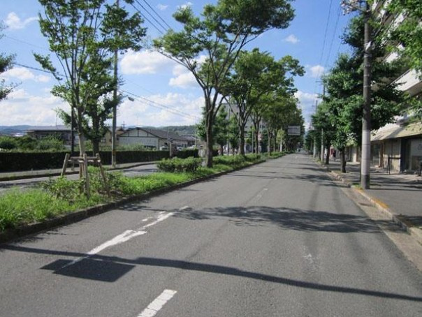 【周辺】 | S52152-ﾊｲﾂ白川