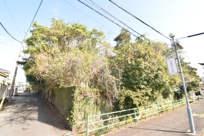 霧島市隼人町神宮3丁目の画像