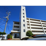 紙屋ビルの画像