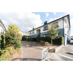 ティアラ老司南の画像