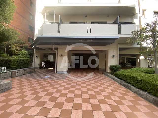 ハイネス上本町　真田山小学校区のエントランス|ハイネス上本町　エントランス