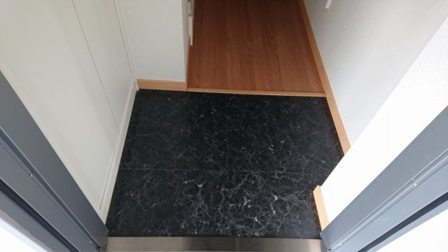 静岡市葵区籠上の賃貸マンションの玄関|明るい玄関です