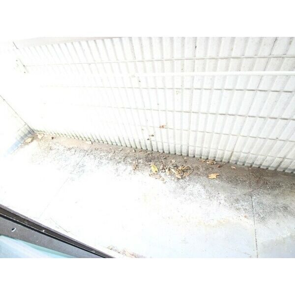 サンシャ3のその他