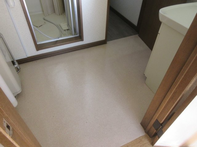 ヴィラマキタの洗面所