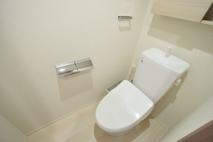 LaMaison大池町のトイレ