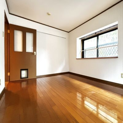 ノースウィングのその他