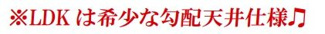 【その他】 | モアクレスト相模原 | LDK上部は勾配天井