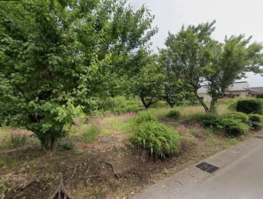 西諸県郡高原町大字広原の売地