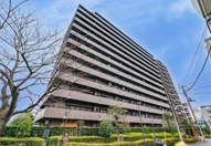 コスモ住吉扇橋の画像