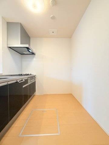 エタン・リジエールのその他