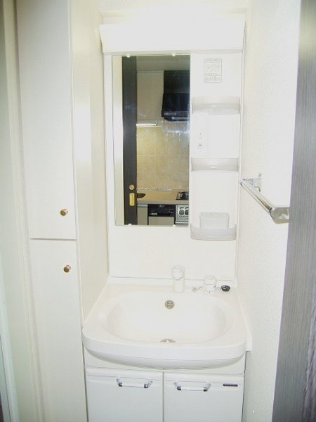 フェニックス日本橋兜町弐番館の独立洗面台