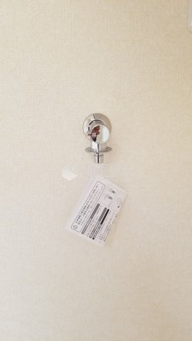 フェリスウイング