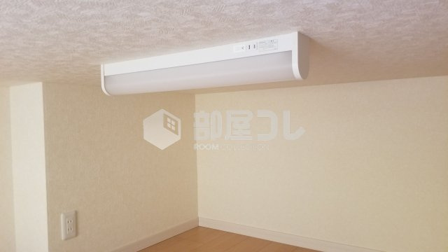 フェリスウイング