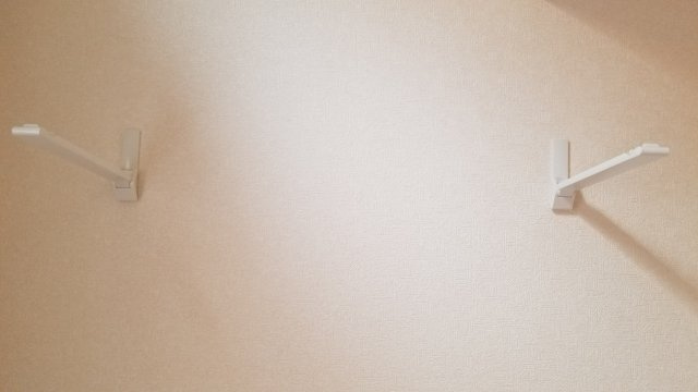 フェリスウイング