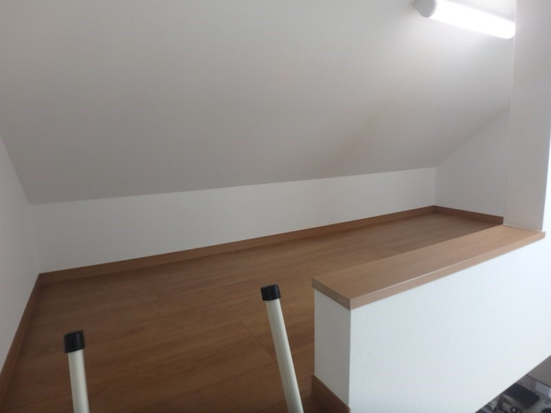 フェリスウイング