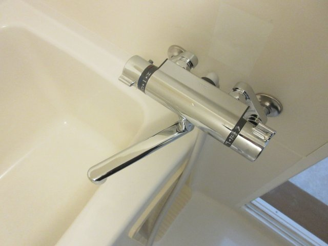 ラッキーストリッジⅢのシャワールーム