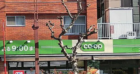 アネックスコンパート