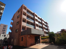 ブルーガーデン初音の画像