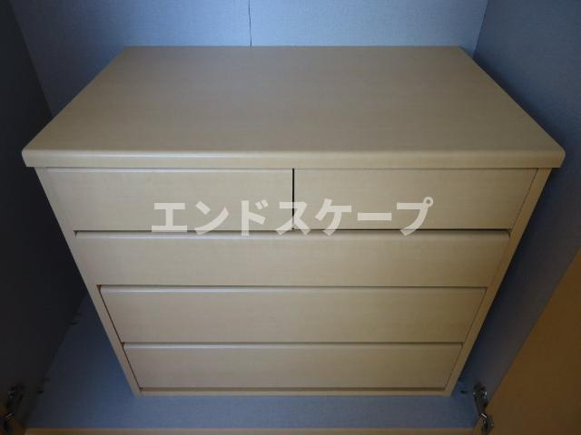 プロニティ　ピア　’０９の収納|チェスト
高崎、前橋のお部屋探しはエンドスケープまで！お客様の理想お聞かせ下さい♪