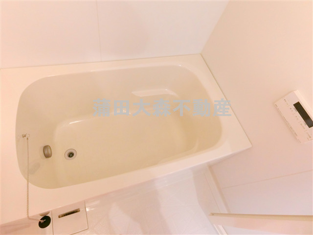 クリスタルパレス蒲西の浴室