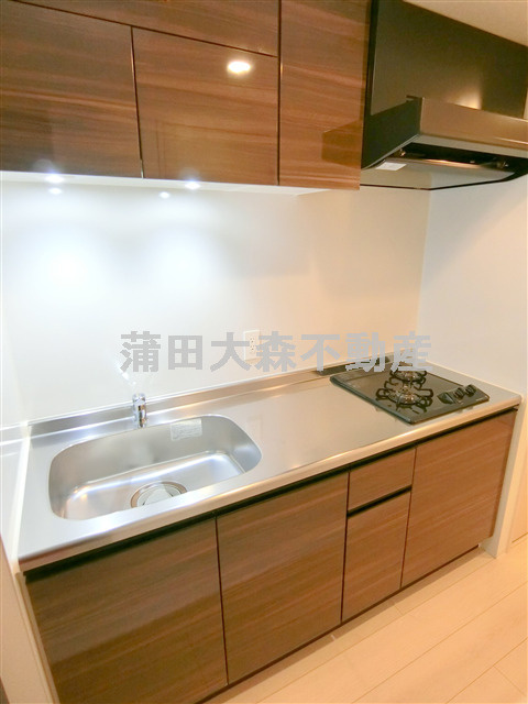 クリスタルパレス蒲西のキッチン|2口ガスシステムキッチン